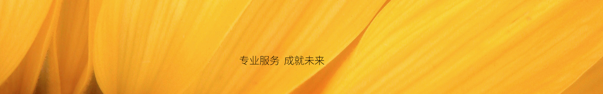 服务中心